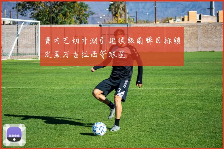 费内巴切计划引进顶级前锋目标锁定莱万吉拉西等球星
