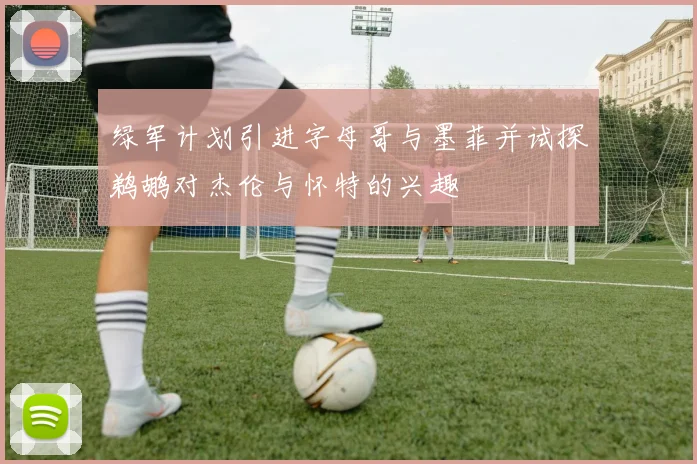绿军计划引进字母哥与墨菲并试探鹈鹕对杰伦与怀特的兴趣